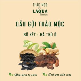 dau-goi