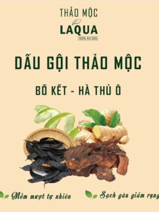 dau-goi